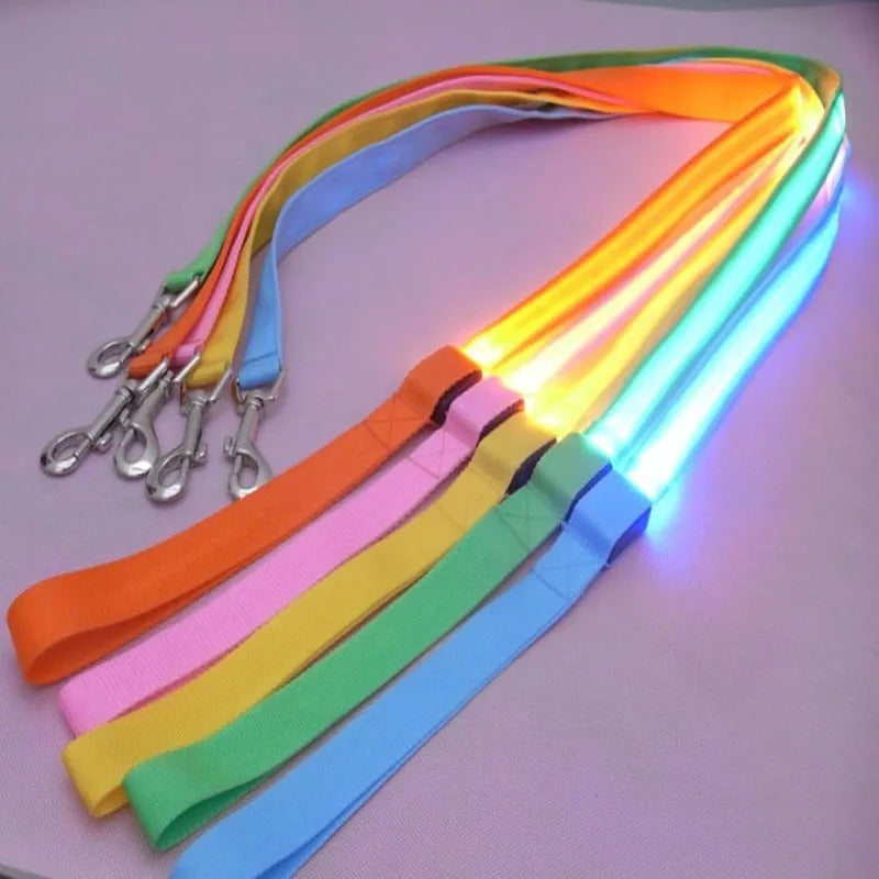 LED Light Up Dog  Leash