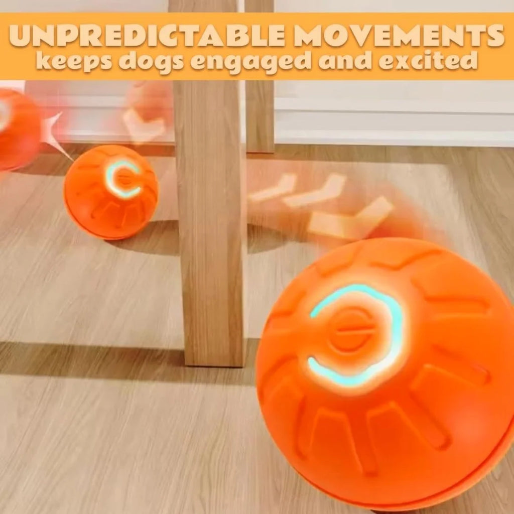 Smart Bouncing Dog Ball