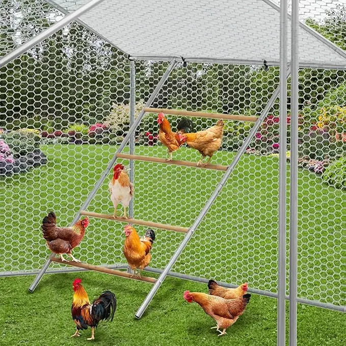 Chicken Perch And Ladder for Coop