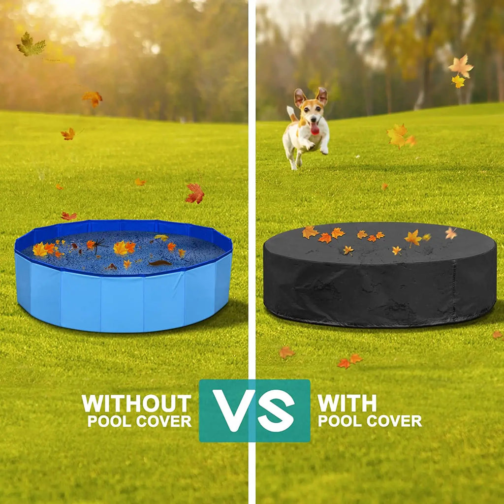 Dog Swimming Pool