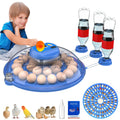 26-52 Eggs Automatic Incubator