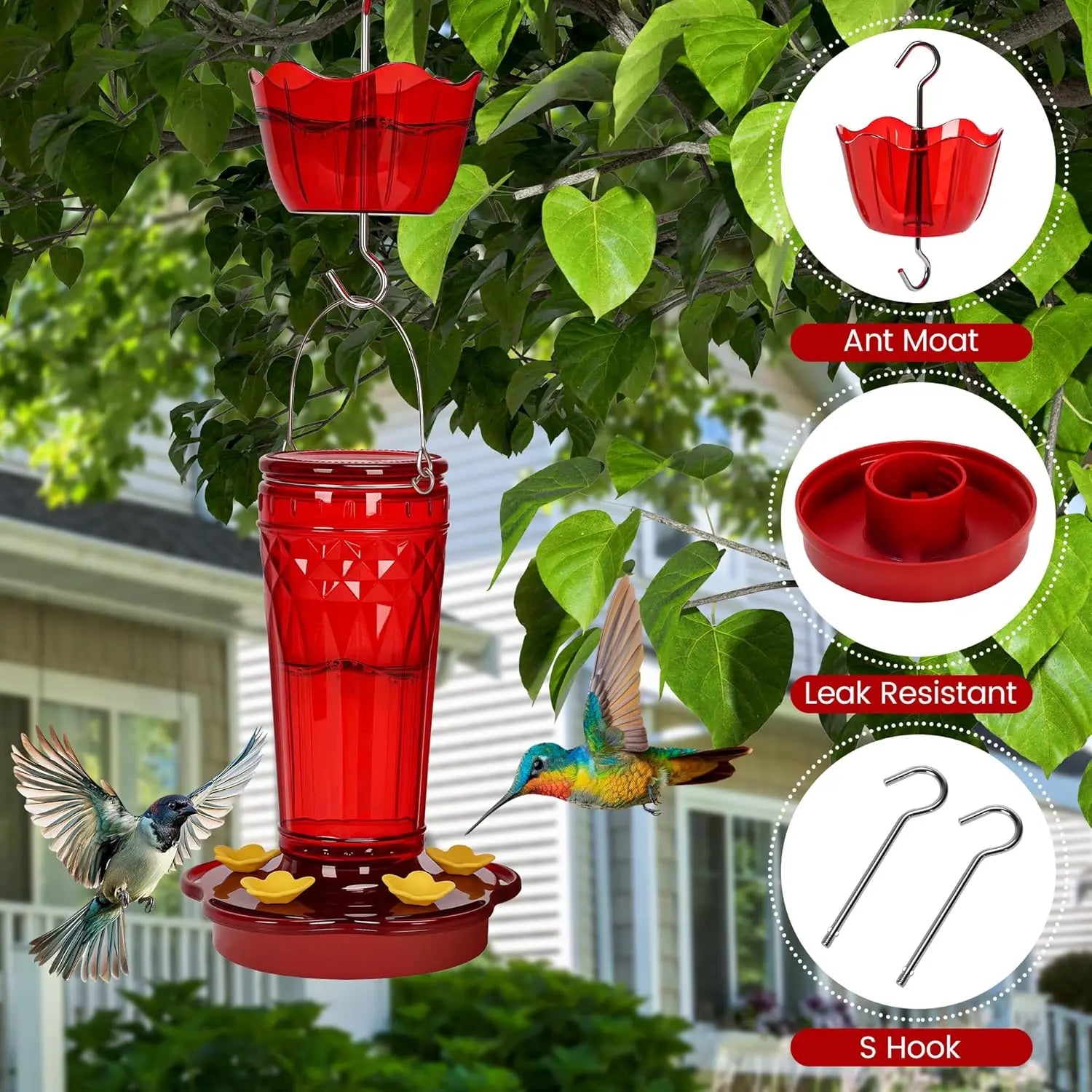 2-Pack Glass Hummingbird Feeders