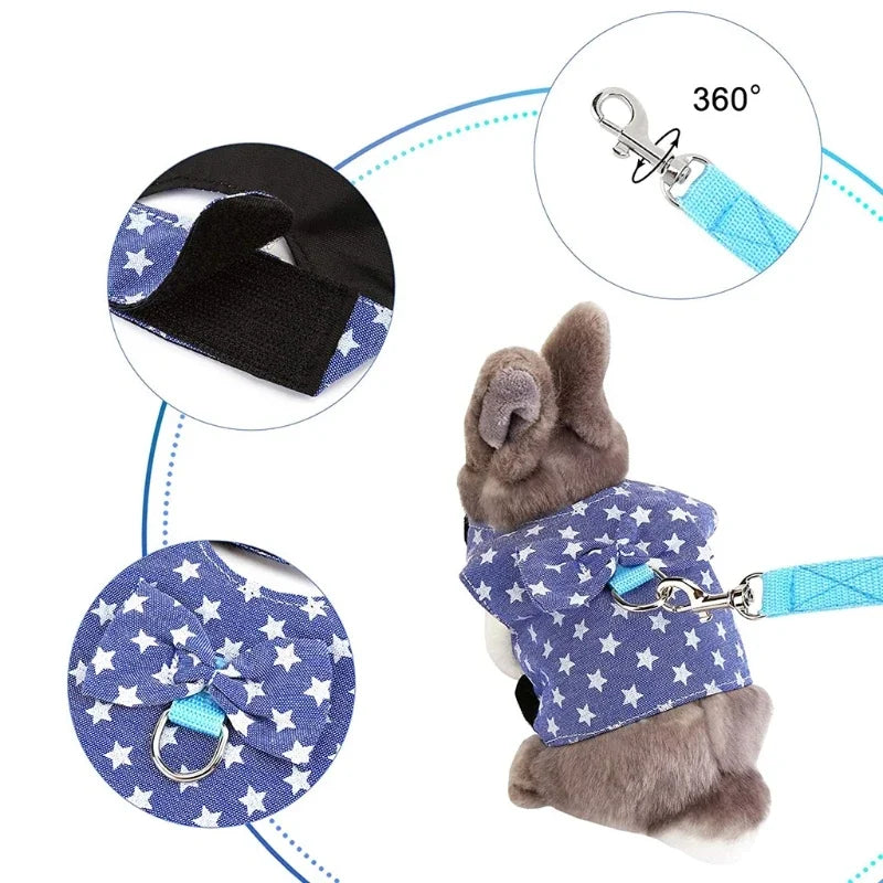 Small Animal Outdoor Walking Harness and Leash Set
