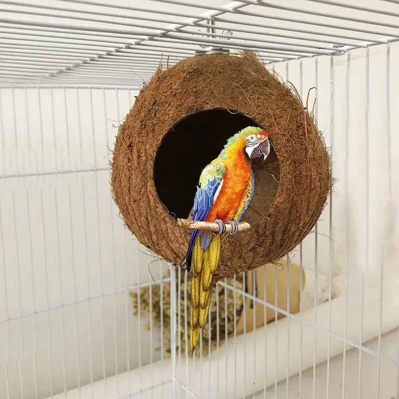 Natural Coconut  Shell Hideaway