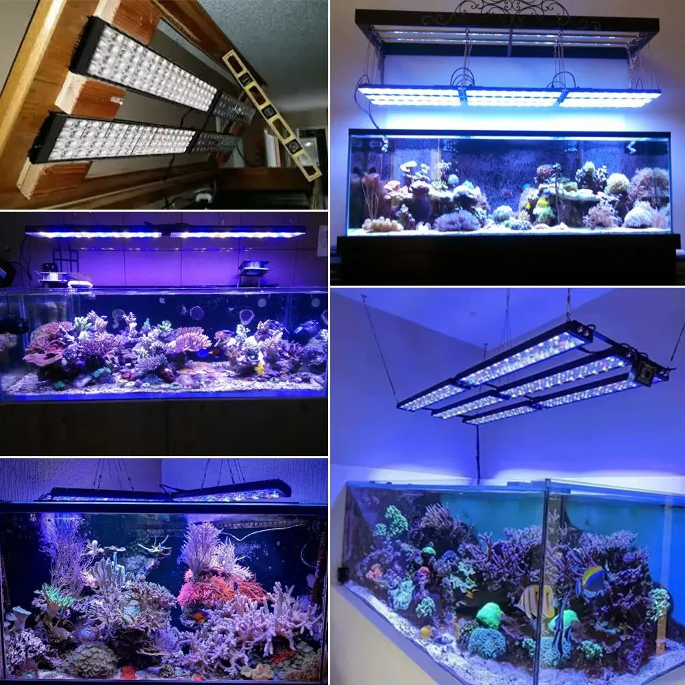 NEW !! Full Spectrum Marine Aquarium Lamp