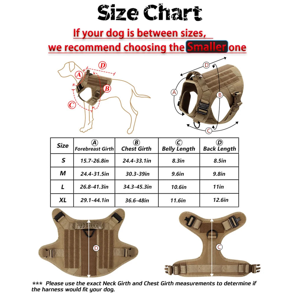 Training Harness And Leash Set