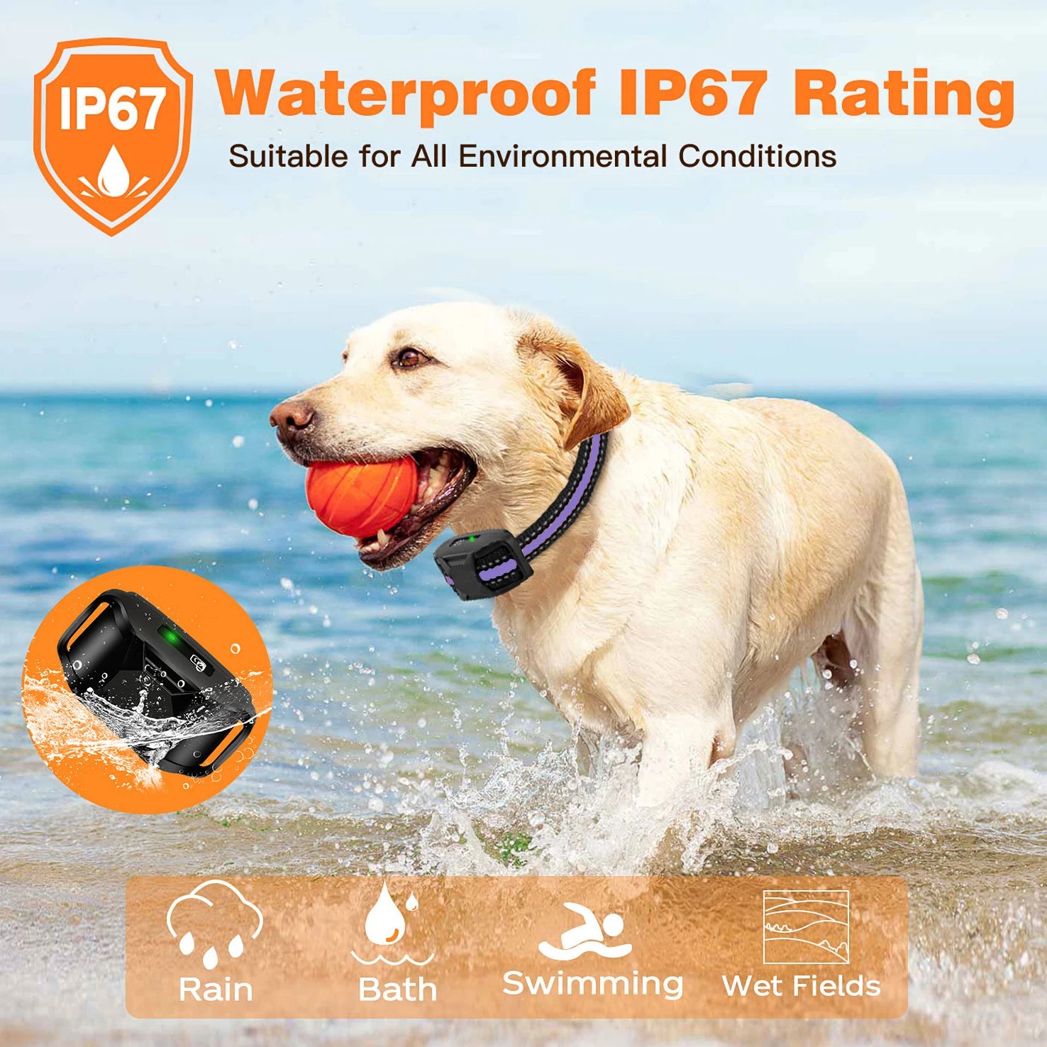 Waterproof  Dog Training Collar With Remote