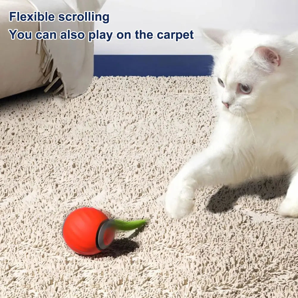 Bouncing Toy Ball for  Cats