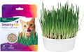 Organic Oat Grass For  Cats