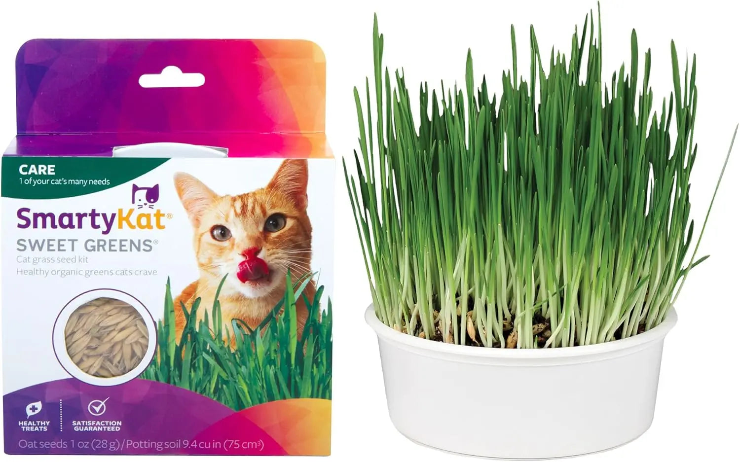 Organic Oat Grass For  Cats