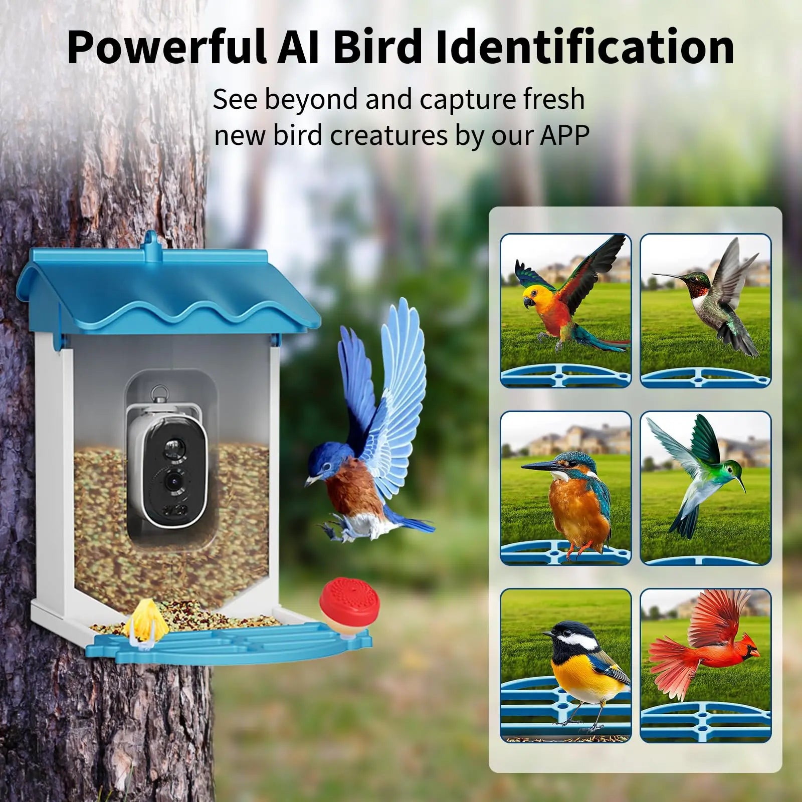 Solar Powered Smart 4K Bird Feeder