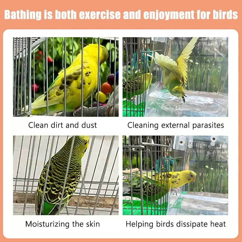 Clear Hanging Bird Bath