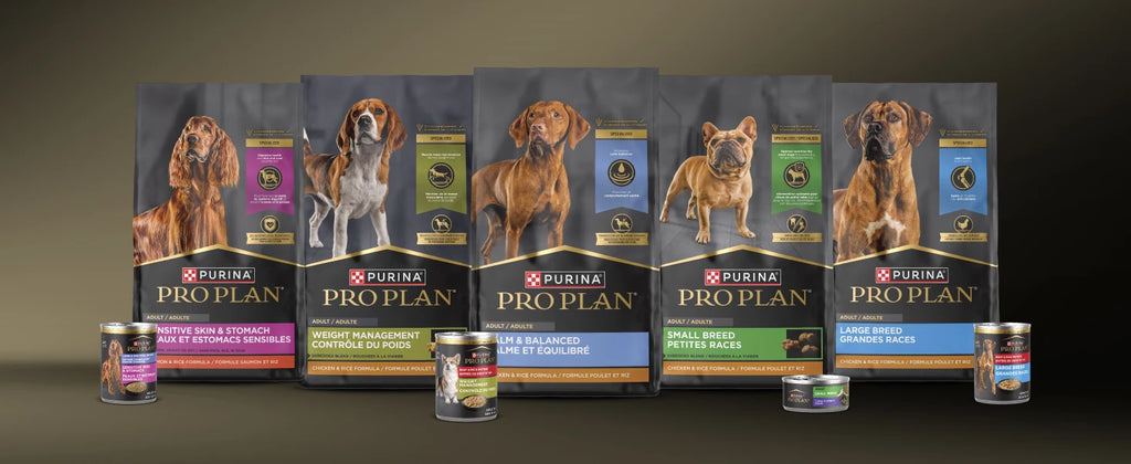 Purina Pro Plan Sensitive Skin and Stomach Dog Food