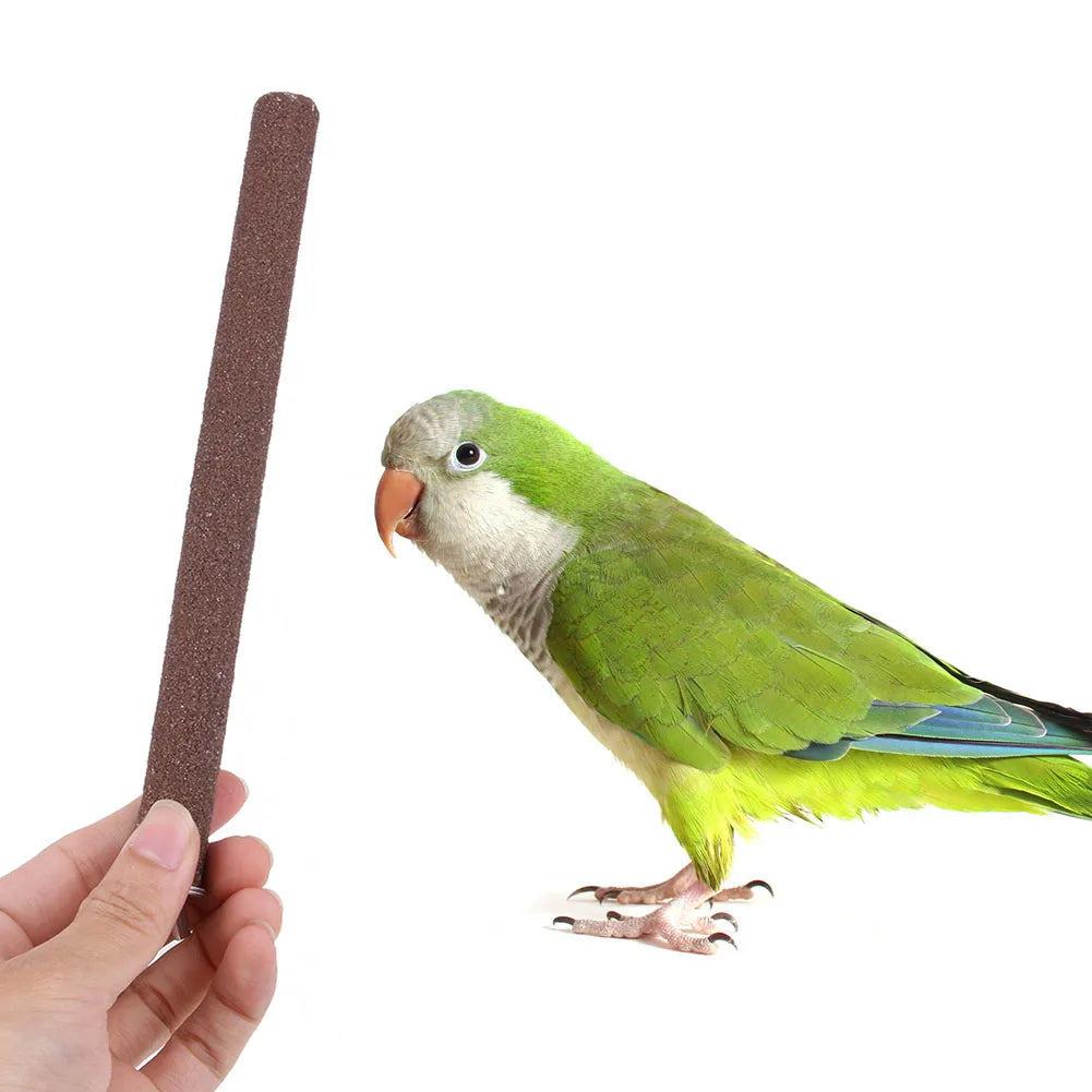 Bird Claw  or Beak Grinding Bar