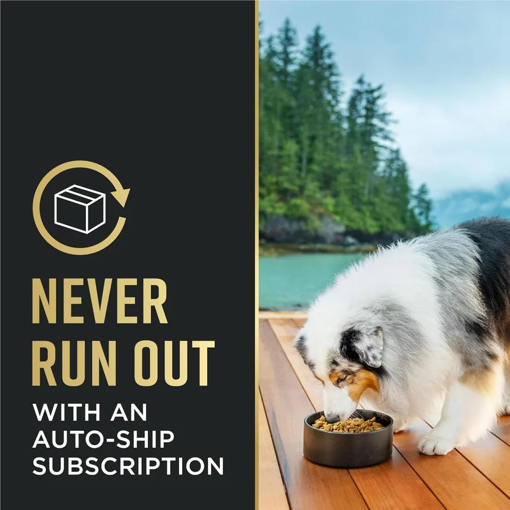 Purina Pro Plan Sensitive Skin and Stomach Dog Food