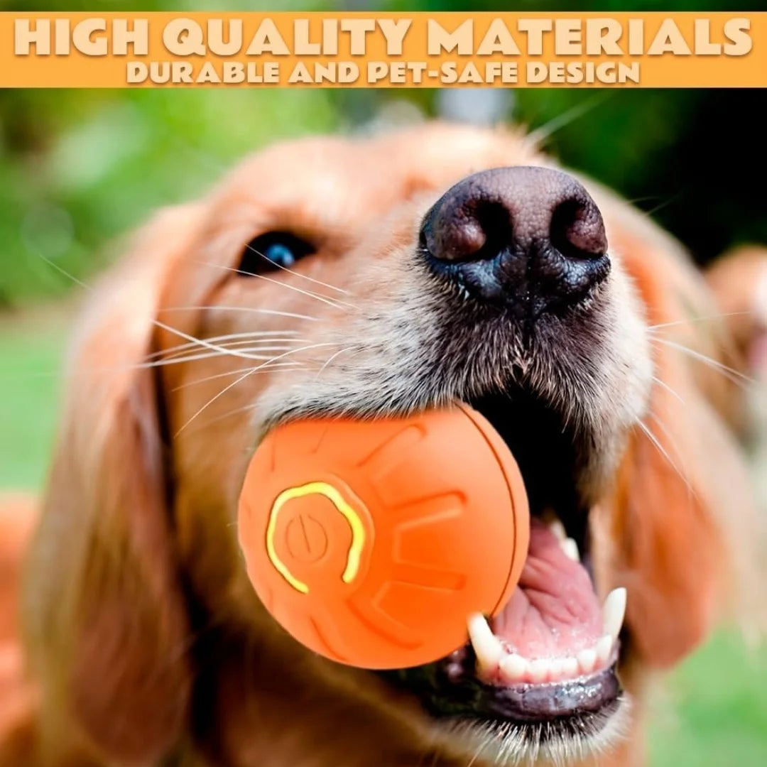 Smart Bouncing Dog Ball