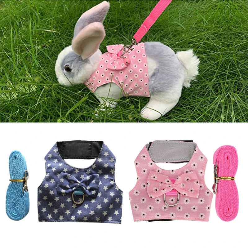 Small Animal Outdoor Walking Harness and Leash Set
