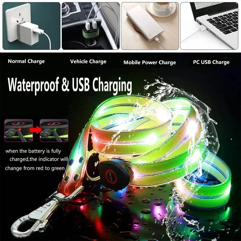 LED Light-Up Dog Leash – USB Rechargeable, 4 ft