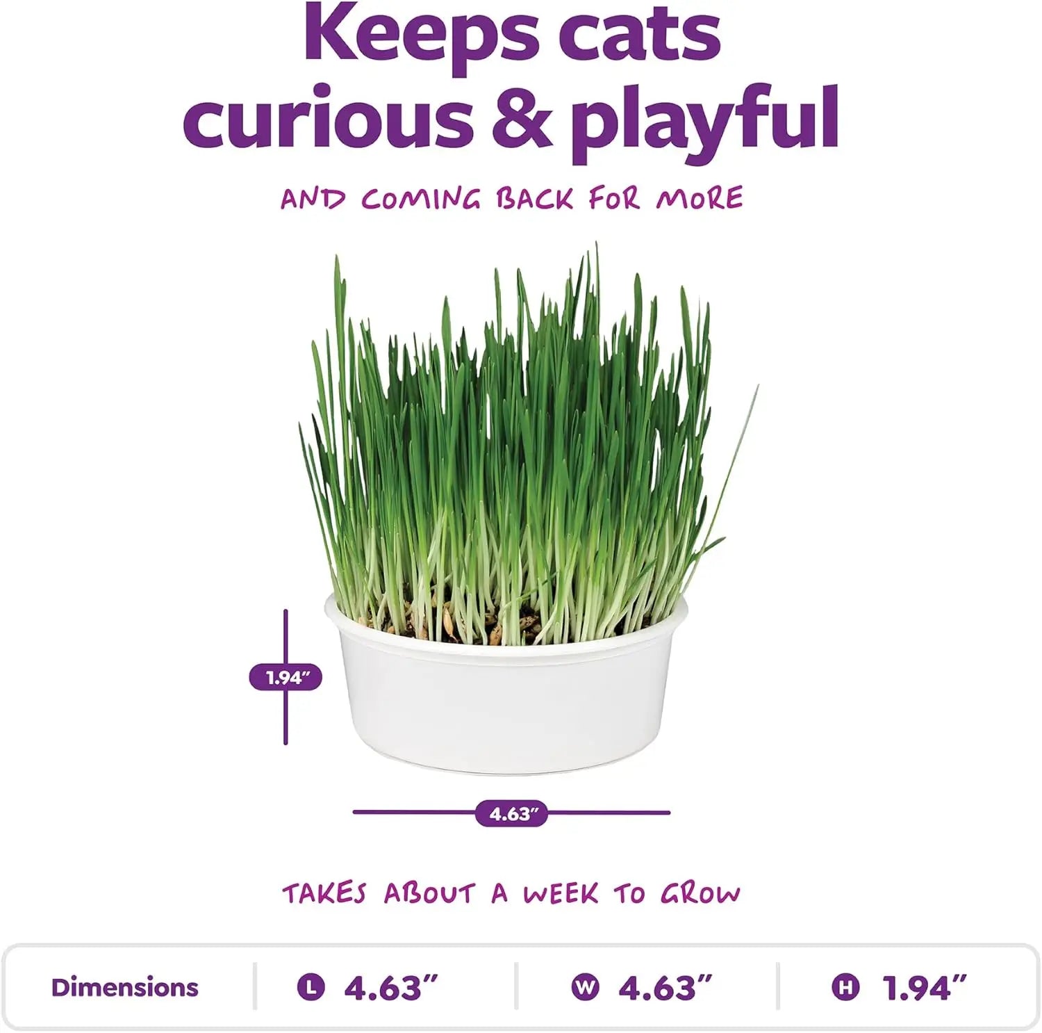 Organic Oat Grass For  Cats