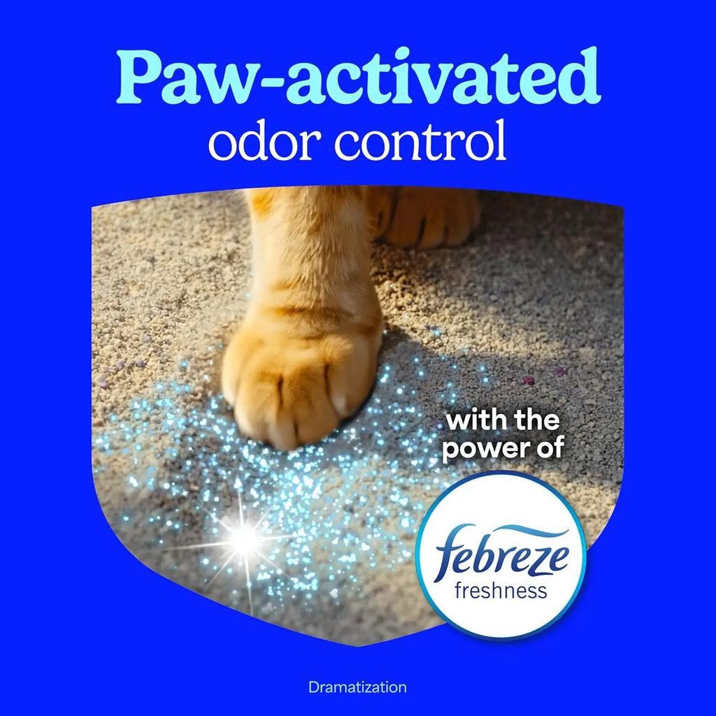 Clumping Cat Litter for Multi-Cat Homes