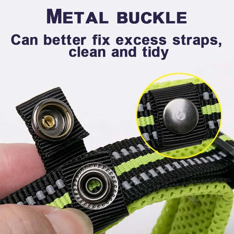 Dog Walking Collar
