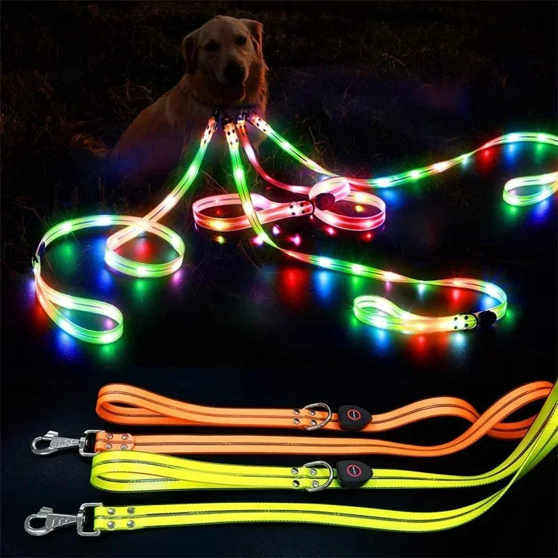 LED Light-Up Dog Leash – USB Rechargeable, 4 ft