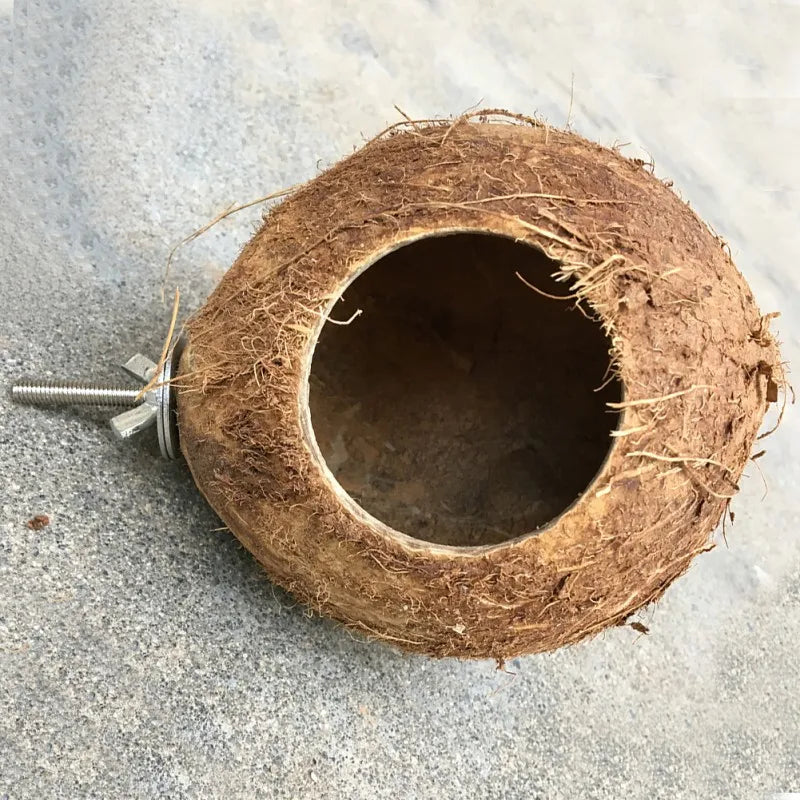 Natural Coconut  Shell Hideaway
