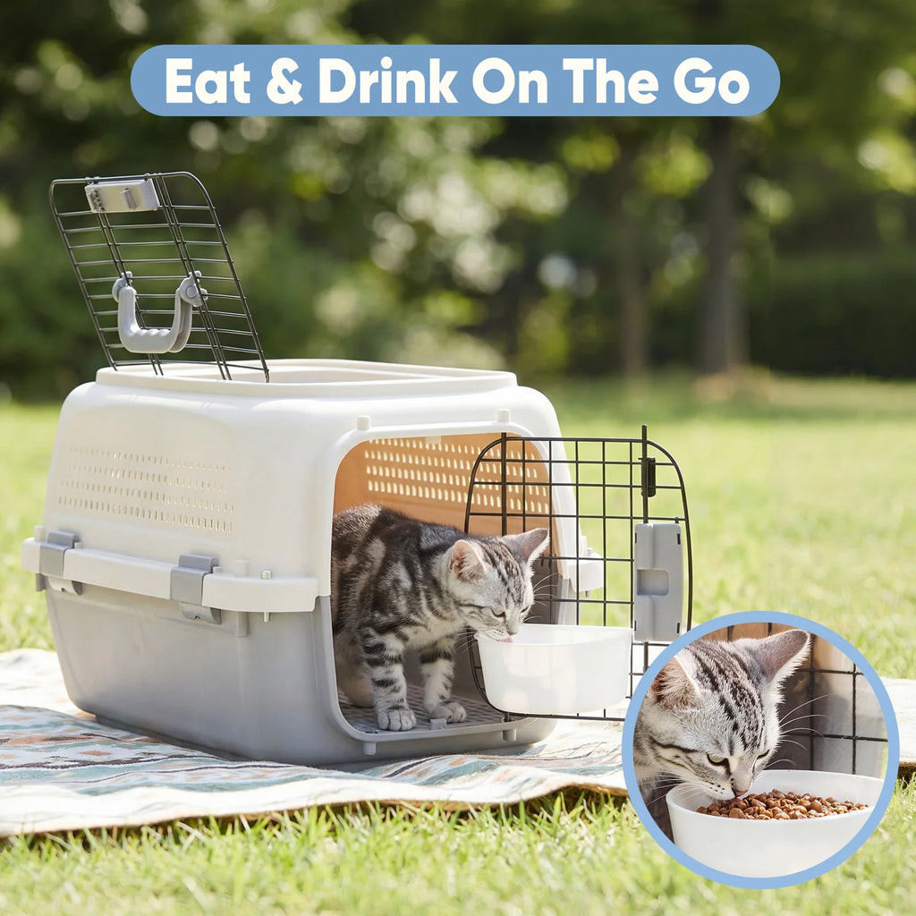 Pet Carrier for Small Dogs/ Cats