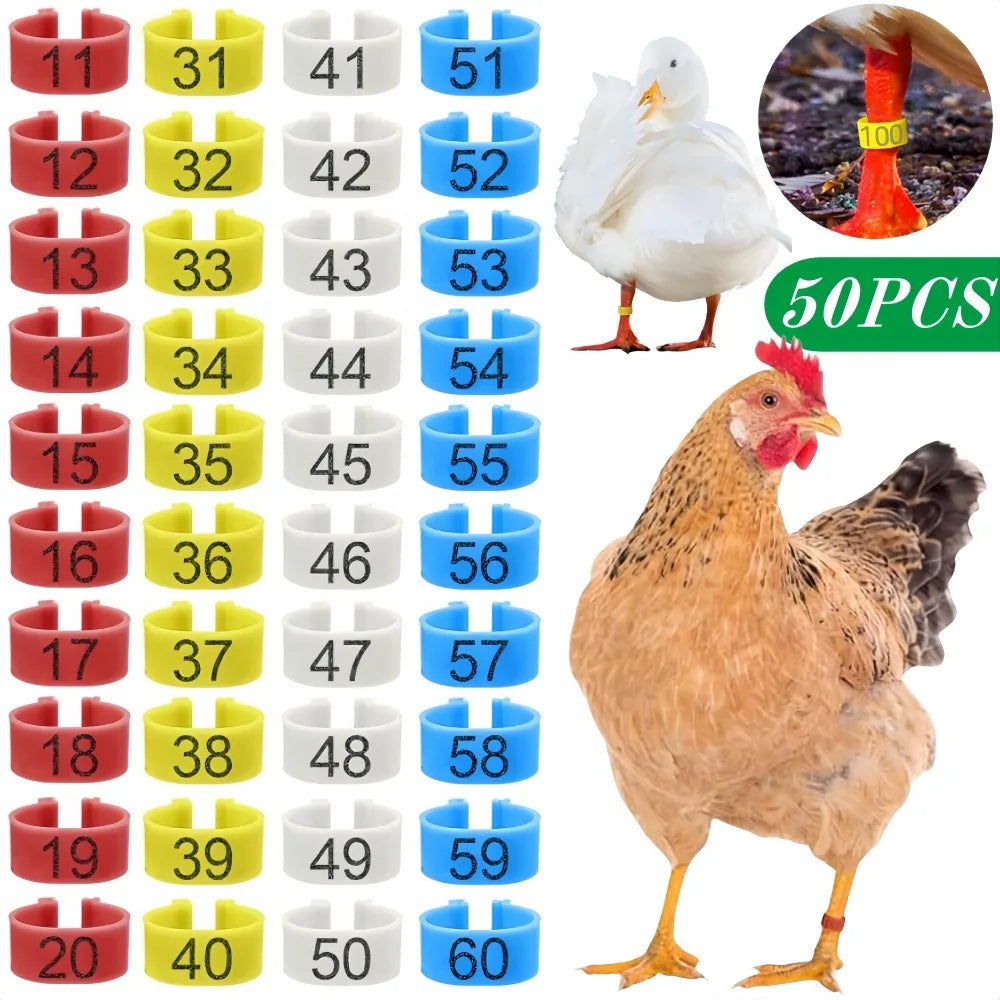 Multi-Color Numbered Identification Leg Bands