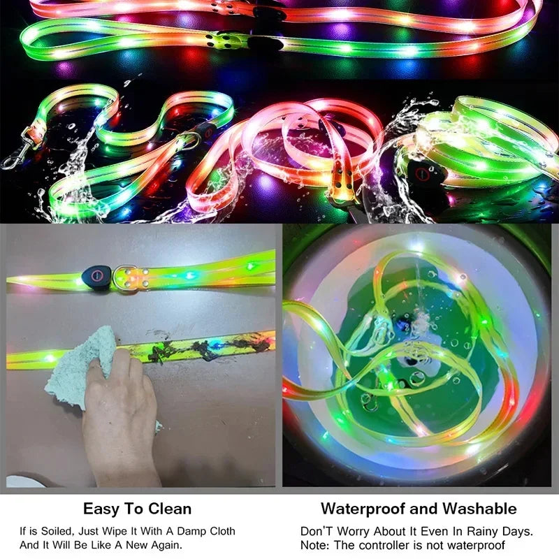 LED Light-Up Dog Leash – USB Rechargeable, 4 ft