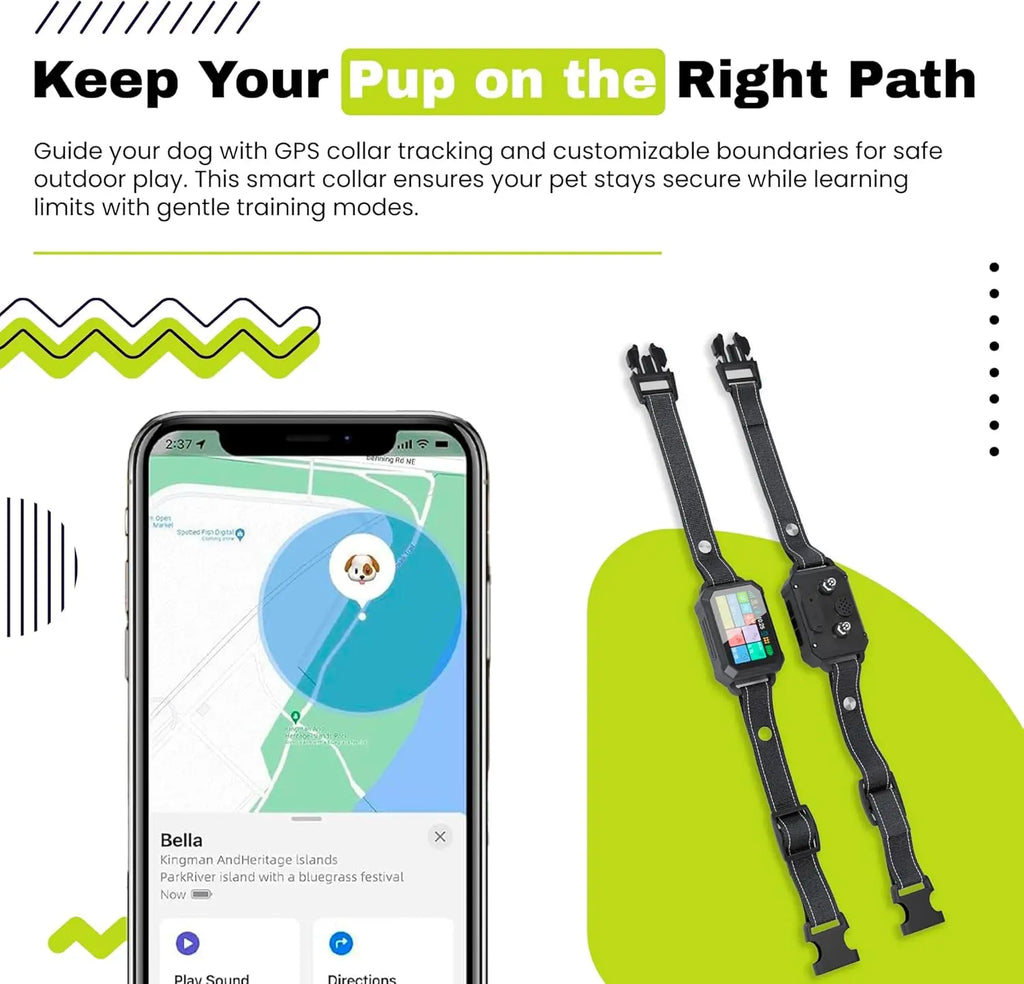 Customizable GPS Dog Collar Fence