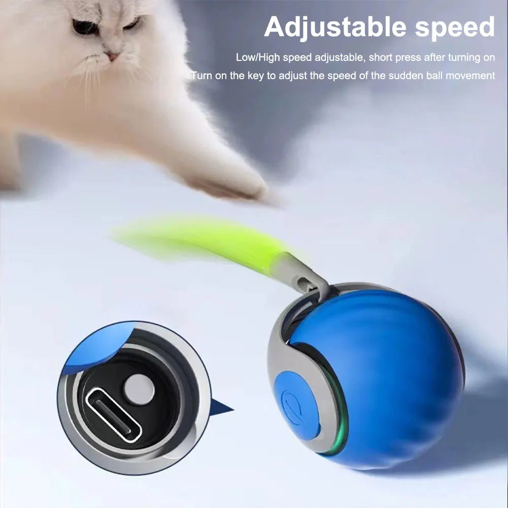 Bouncing Toy Ball for  Cats