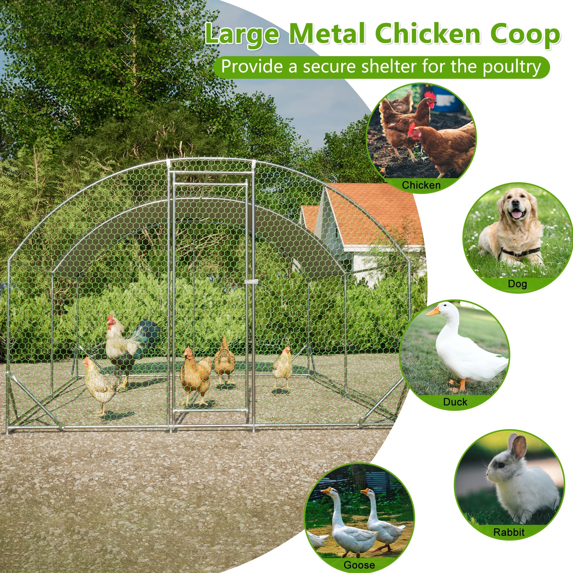 Large Metal Chicken  Run