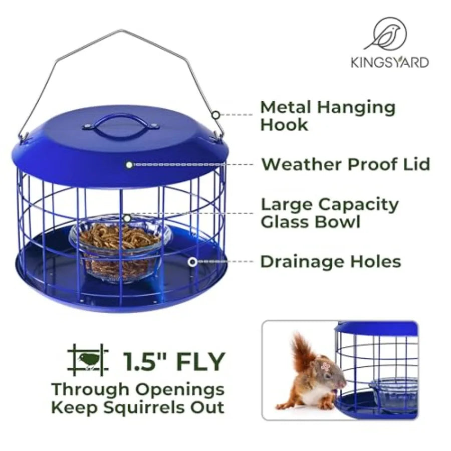 Bluebird Feeders for Outdoors