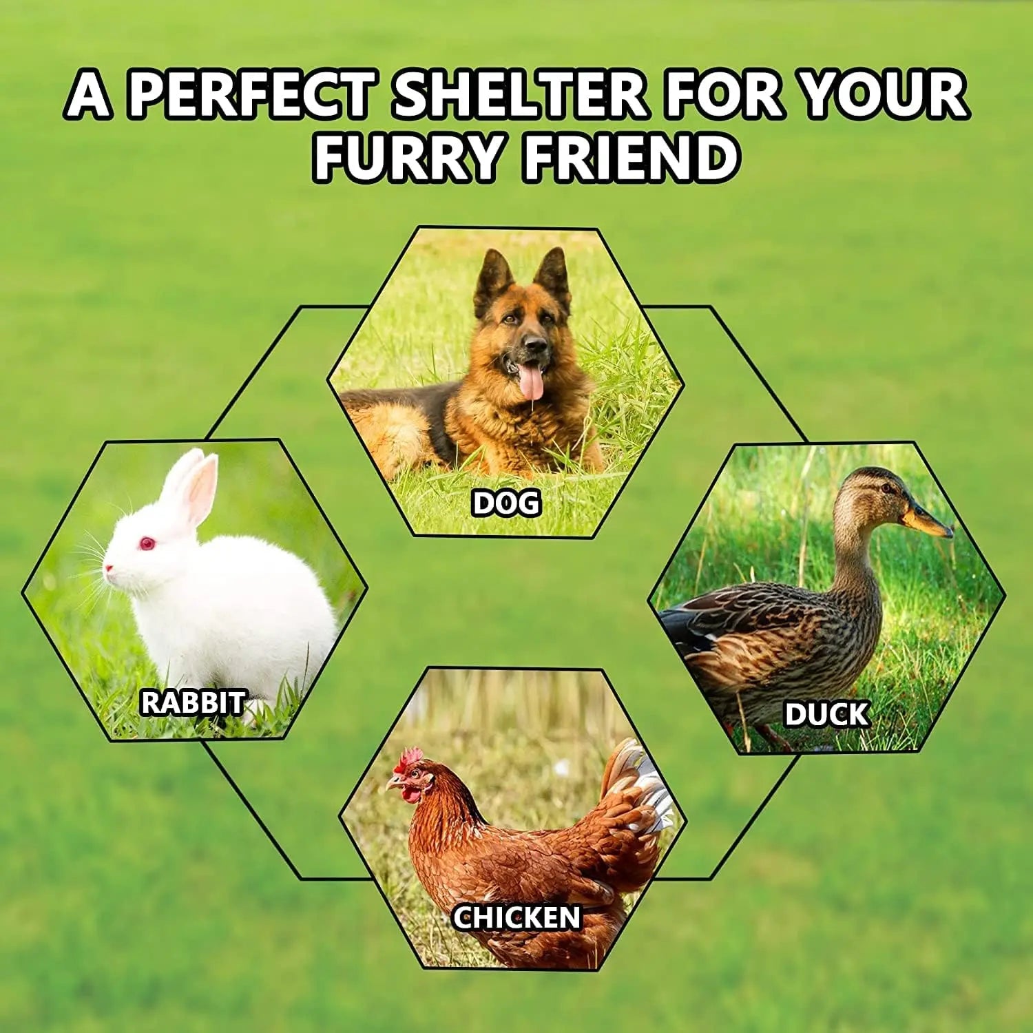 Large Galvanized Dog Kennel