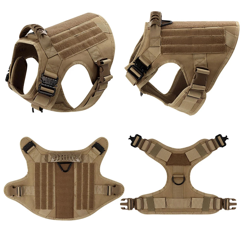 Training Harness And Leash Set