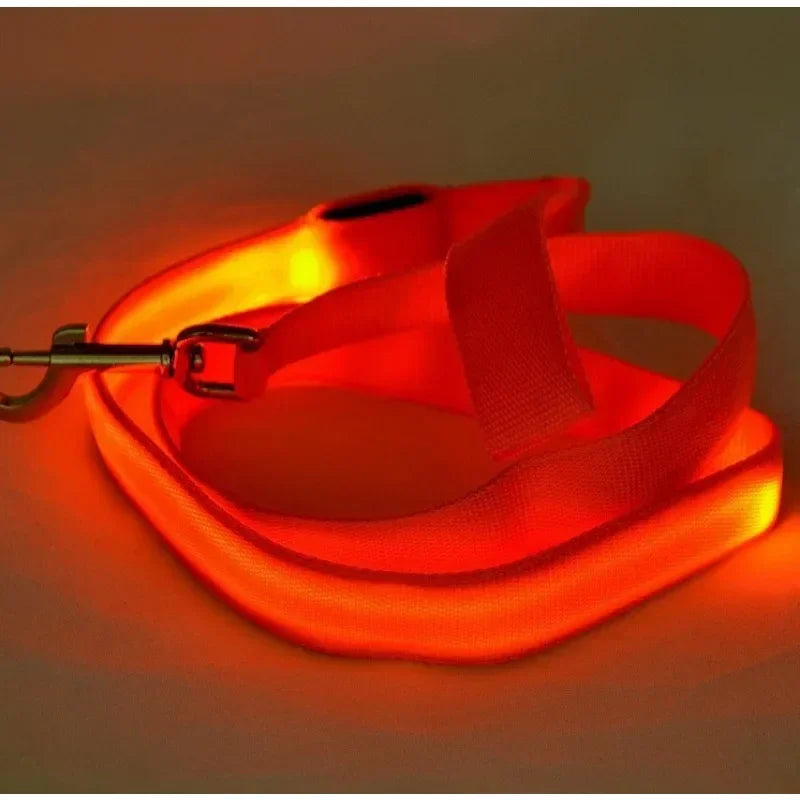 LED Light Up Dog  Leash