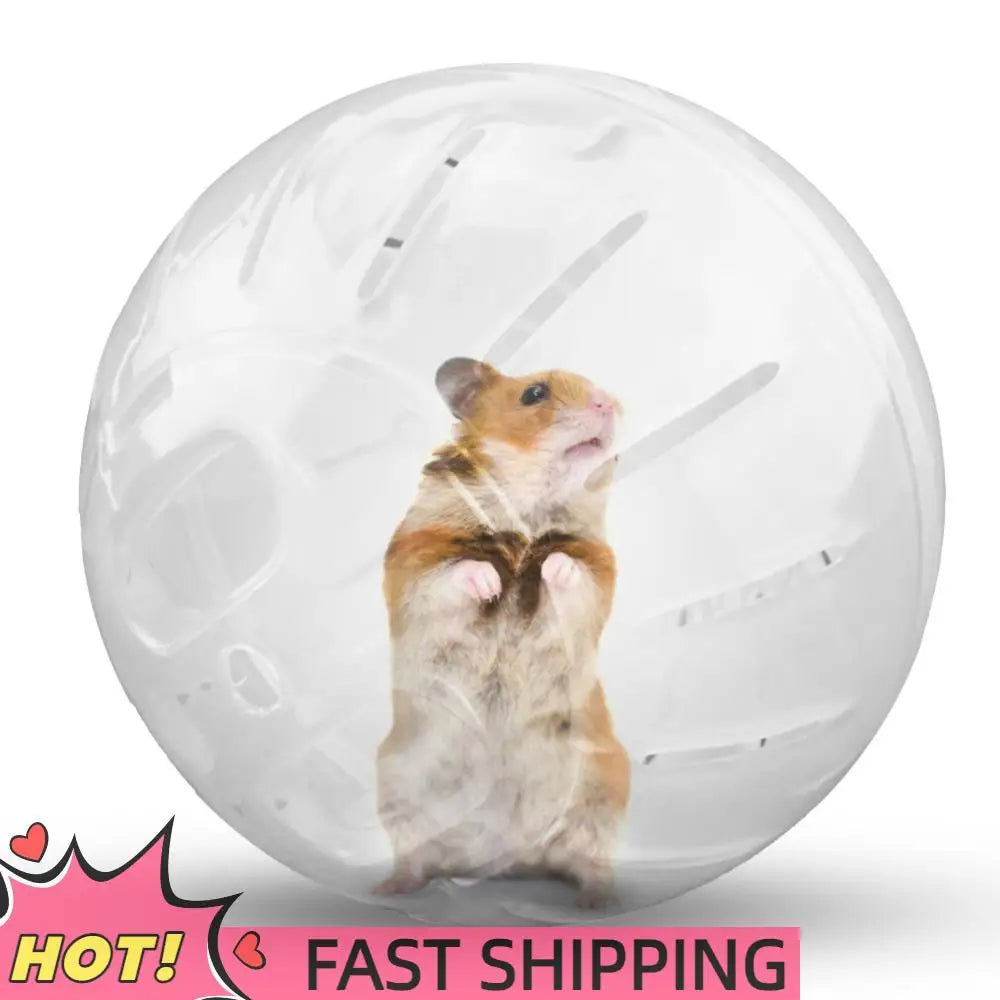 Mini Hamster Running Ball