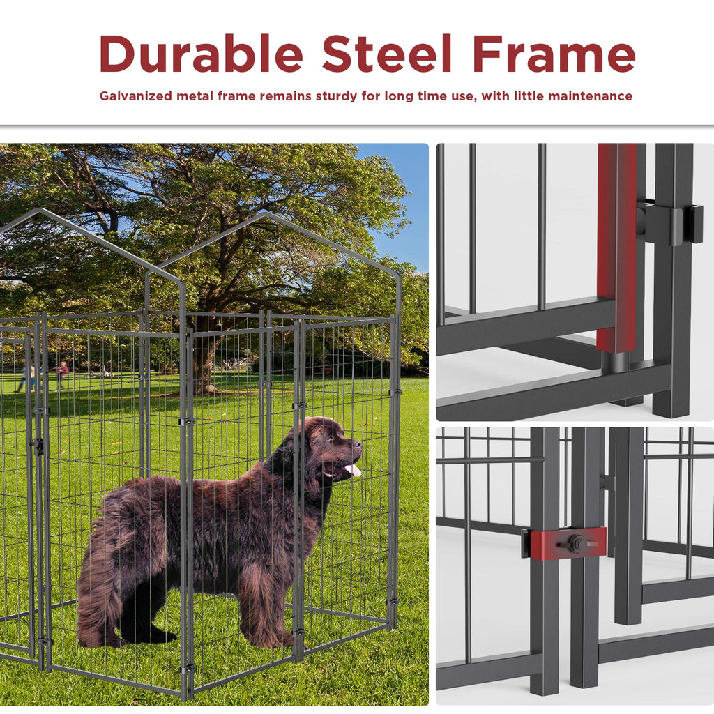 Large Outdoor Dog Kennel