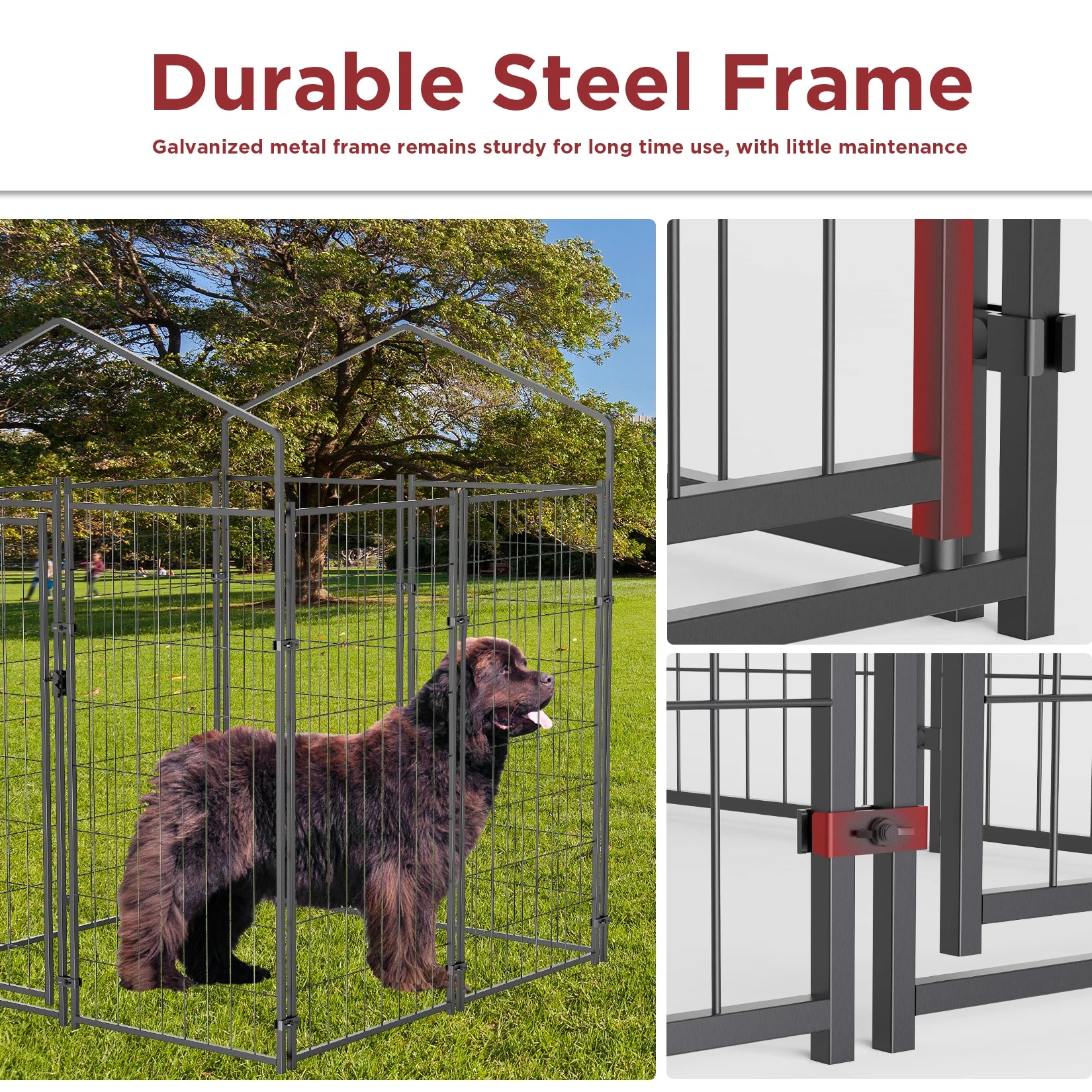Large Outdoor Dog Kennel
