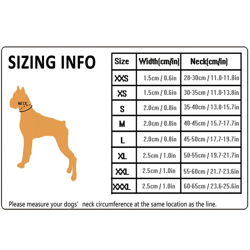 Dog Walking Collar