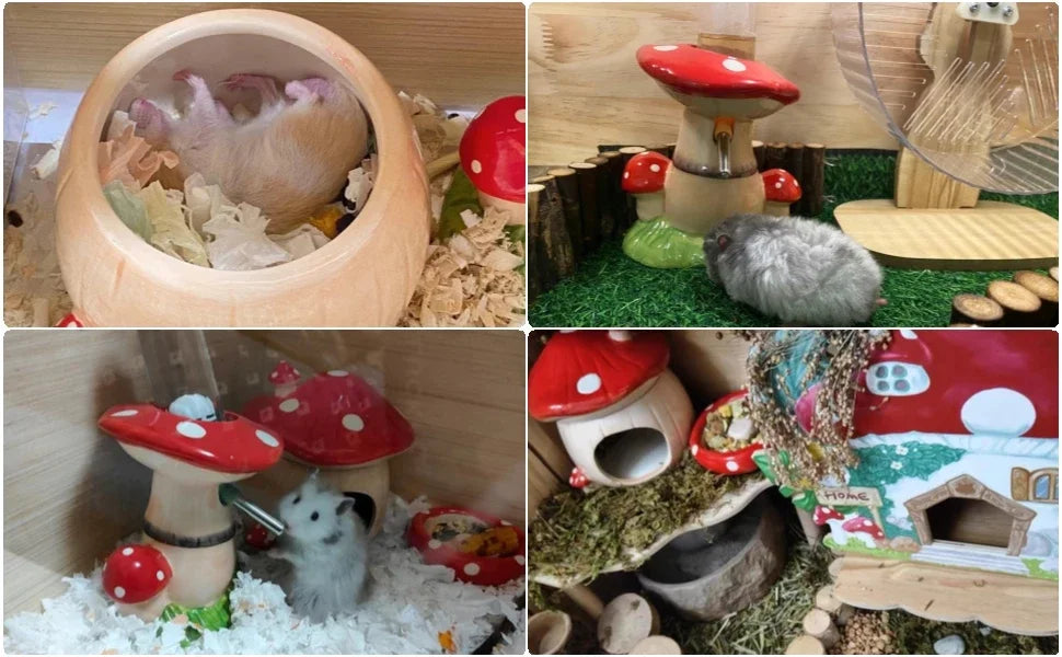 Ceramic Mushroom Set For Hamsters