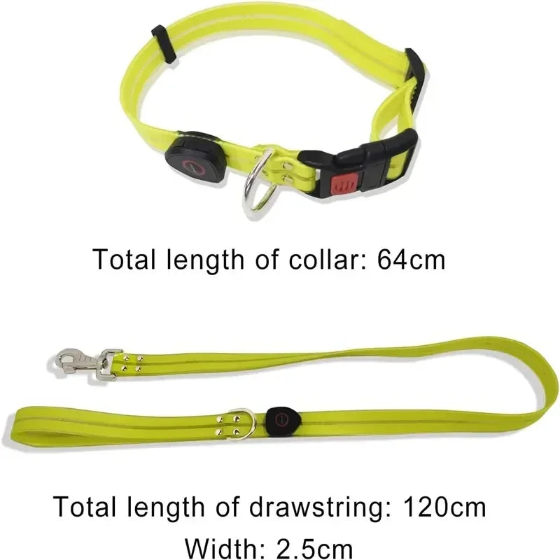 LED Light-Up Dog Leash – USB Rechargeable, 4 ft