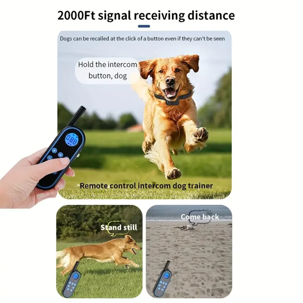 Dog Training Collar with Remote