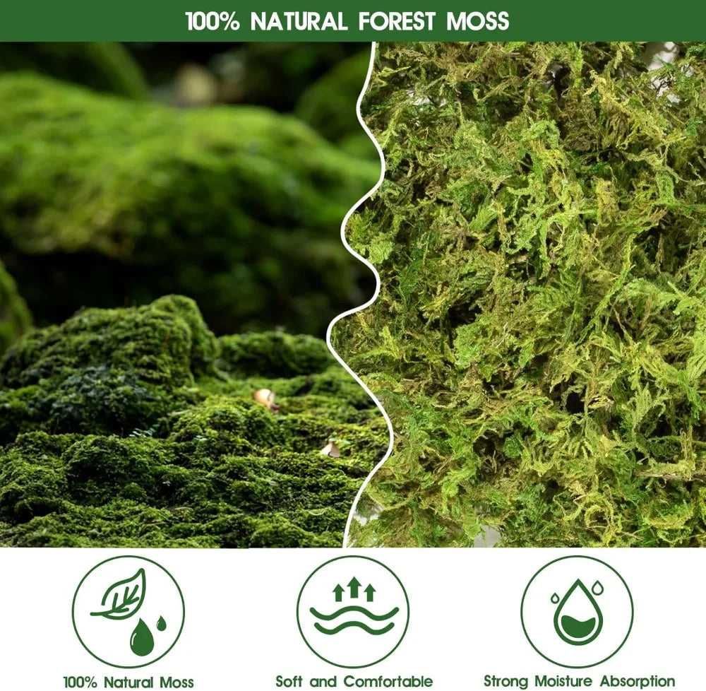 14OZ Natural Sphagnum Moss
