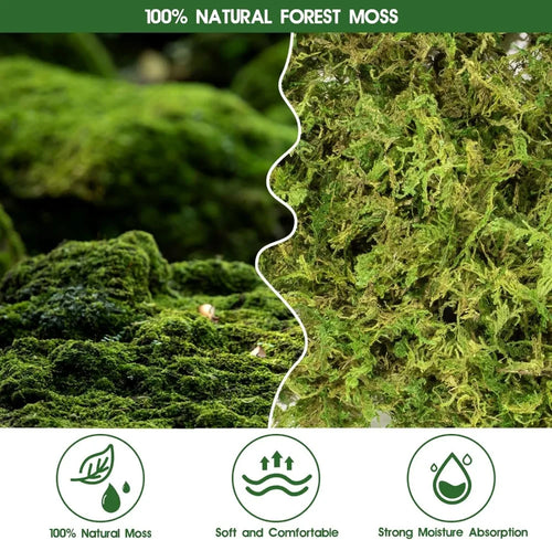 14OZ Natural Sphagnum Moss