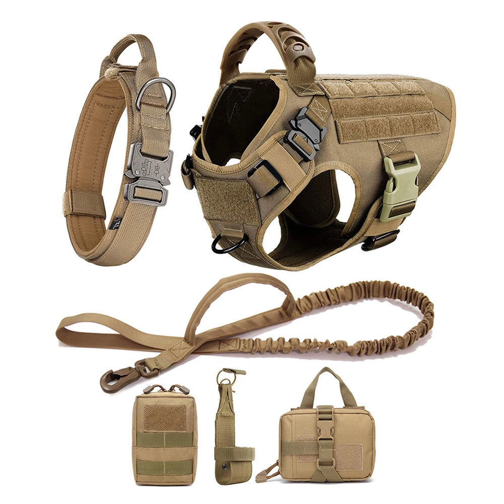 Training Harness And Leash Set