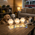 Pet Rescue+Retriever Triple-pack