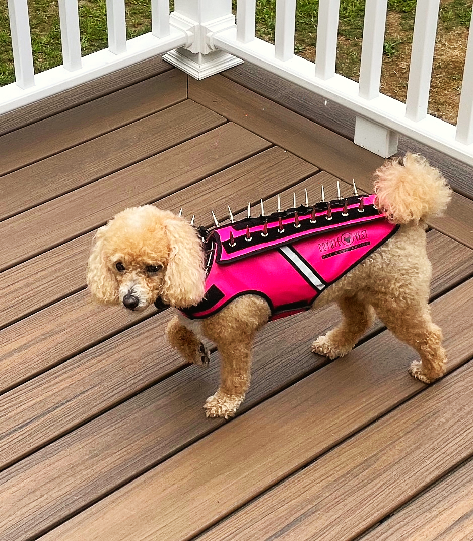 HawkVest for Dogs