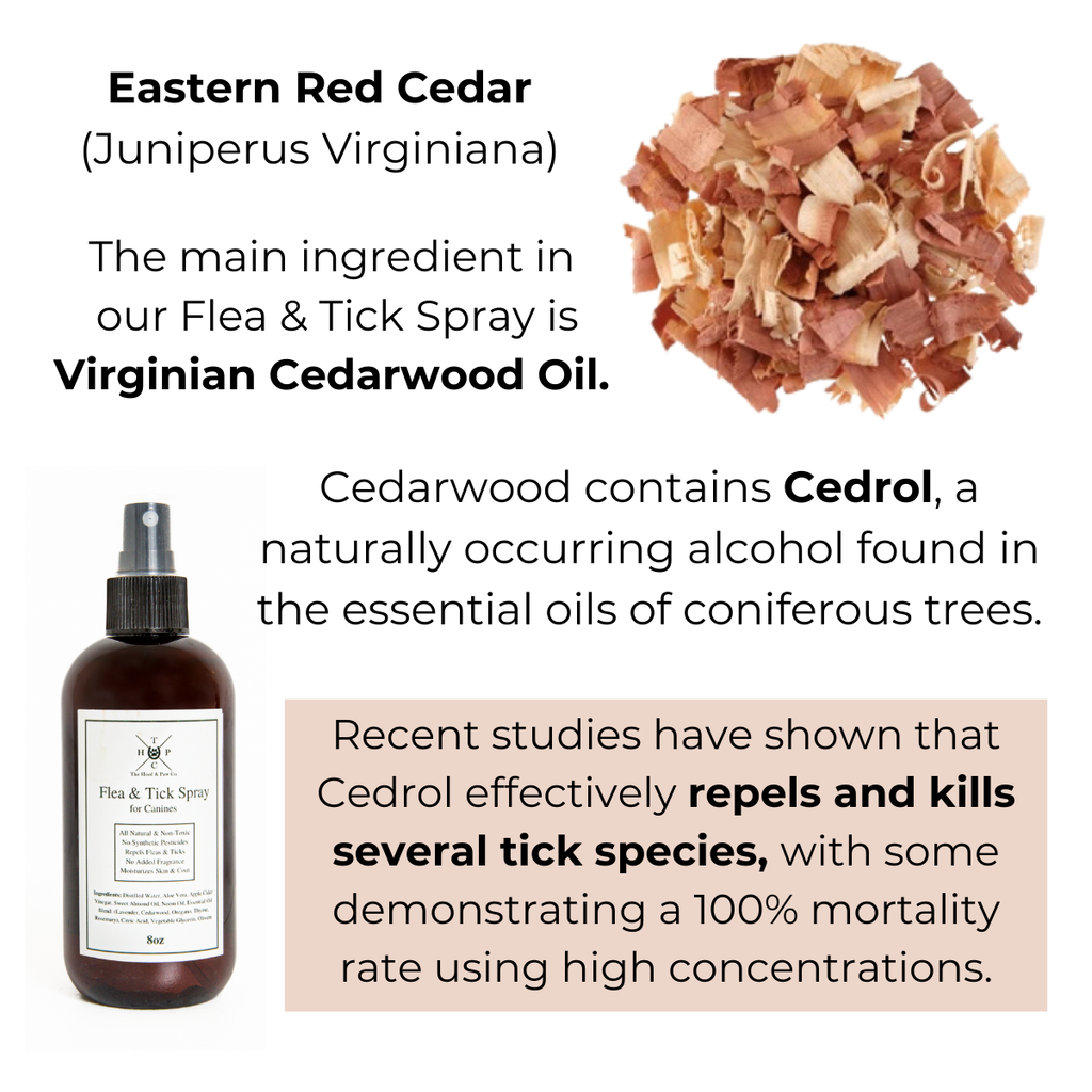 Natural Flea & Tick Spray for Dogs